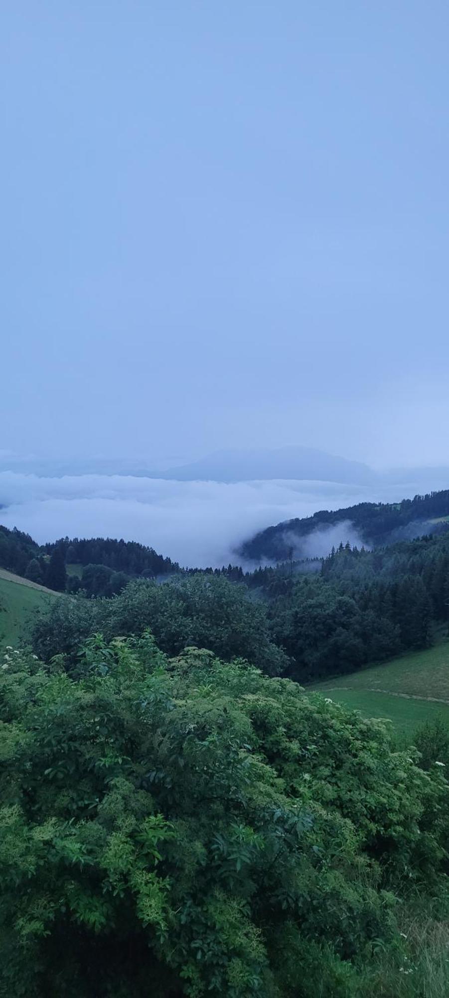 Gasthof Machwirth Griffen Exteriör bild