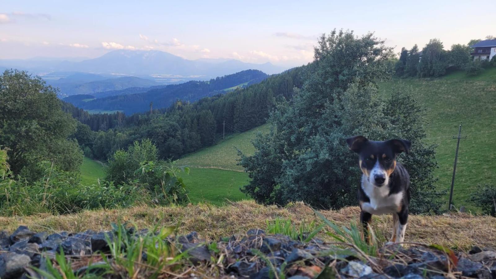 Gasthof Machwirth Griffen Exteriör bild